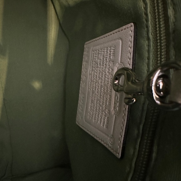 Coach Bumble Bee & Flowers Tote Bag L053-9447 NWT Limited Edition with Dust Bag - Picture 14 of 16